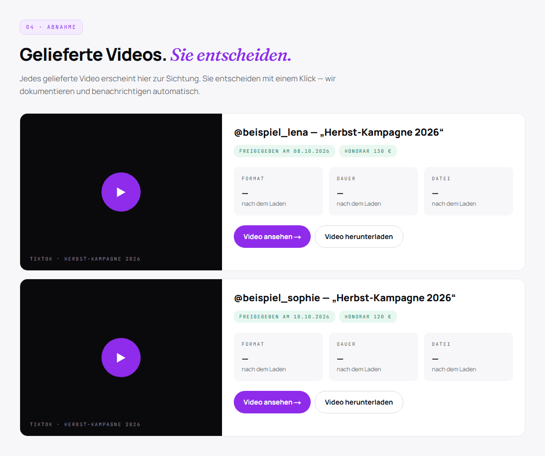 Abnahme im Tool: freigegebene Videos mit Download, Beispieldaten